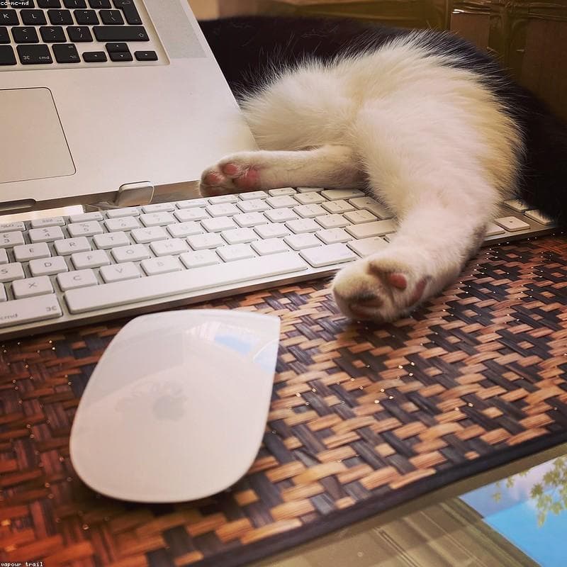 Productivity Keyboard